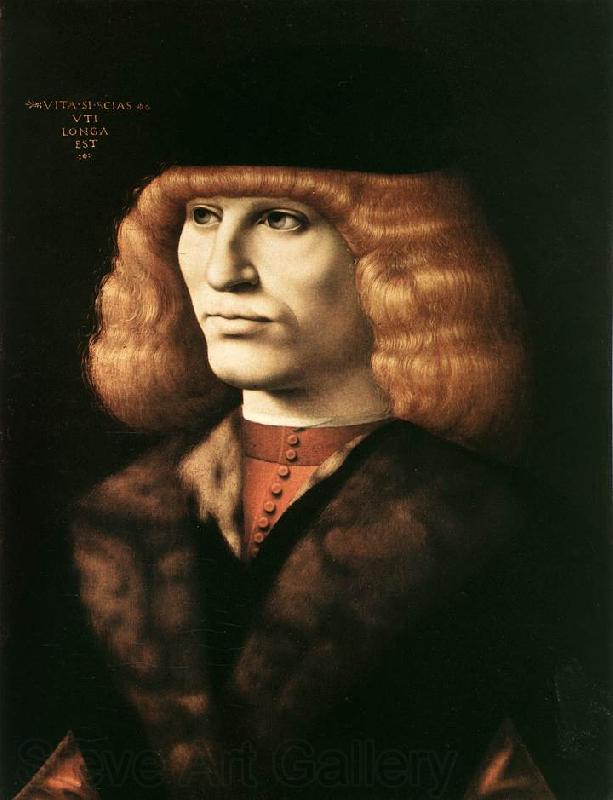 PREDIS, Ambrogio de Portrait of a Young Man sgt France oil painting art